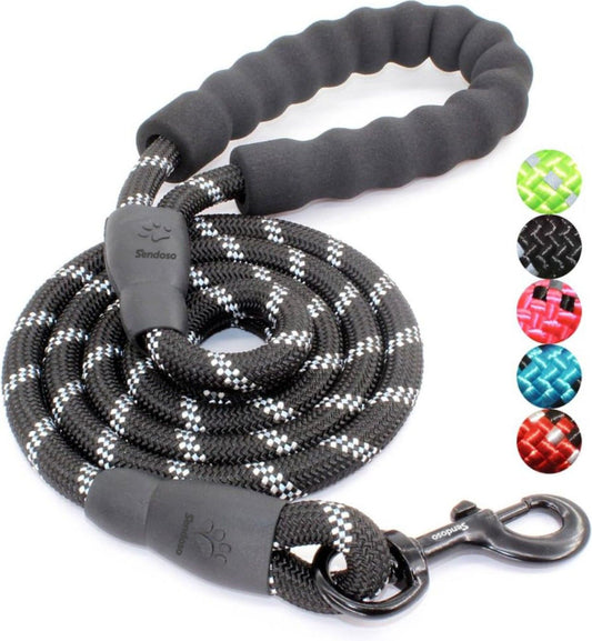 Reflective 5ft. Dog Leash